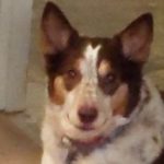 Profile picture of Mary Sczech