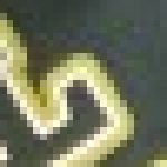 Profile picture of Nancy Smith