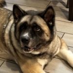 Profile picture of Tracey Hairston