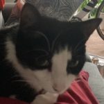 Profile picture of Margaret Morales